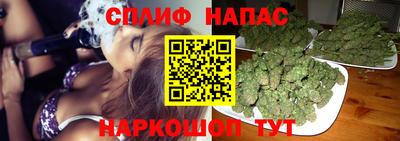 стаф Краснодар