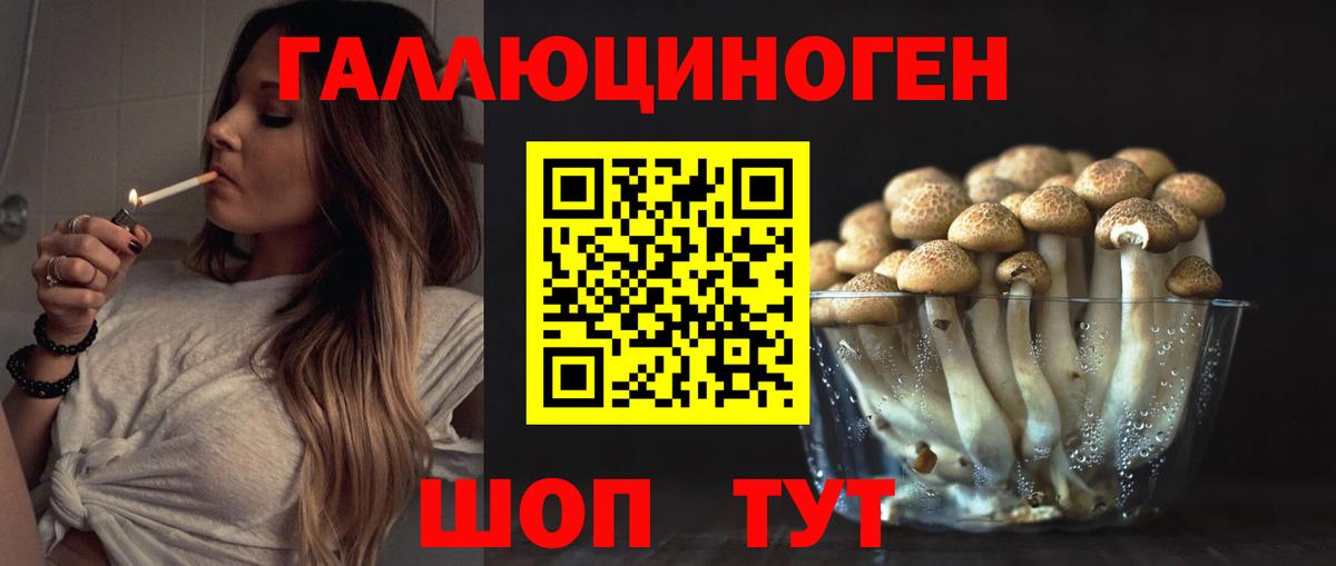 Псилоцибиновые грибы ЛСД Елизово
